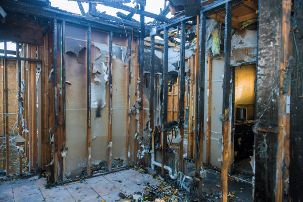 Professional Fire Damage Removal technician working in Texas, TX